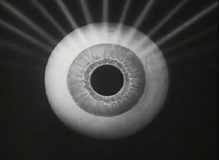 Screen Shot 2017-07-10 at 8.26.30 pm